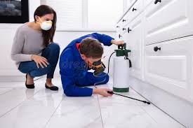 Best Fumigation Services  in Sisters, OR